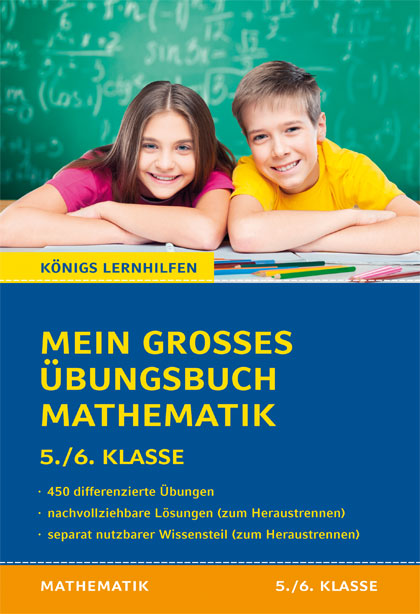 Mein großes Übungsbuch Mathematik. 5./6. Klasse.
